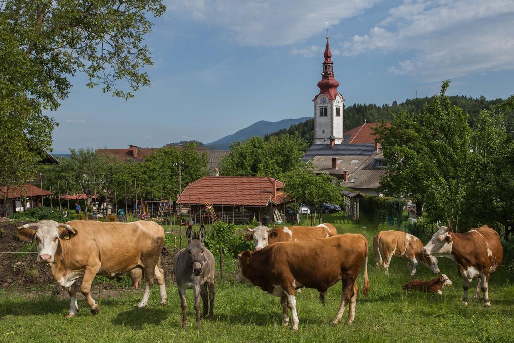 Bio Turisticna Kmetija Frcej-Zupan Villa Bled Esterno foto