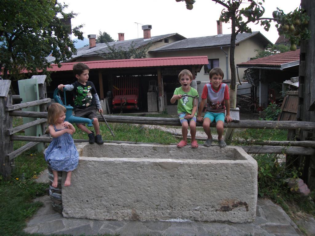 Bio Turisticna Kmetija Frcej-Zupan Villa Bled Esterno foto