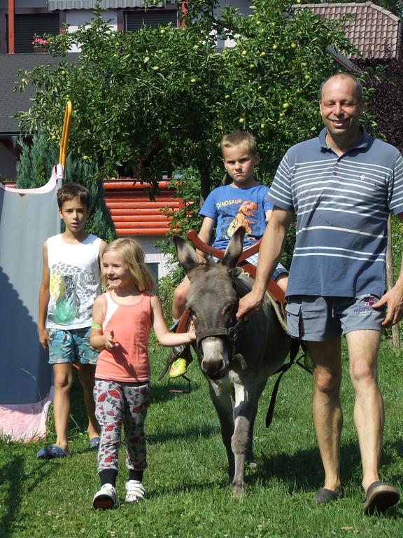 Bio Turisticna Kmetija Frcej-Zupan Villa Bled Esterno foto