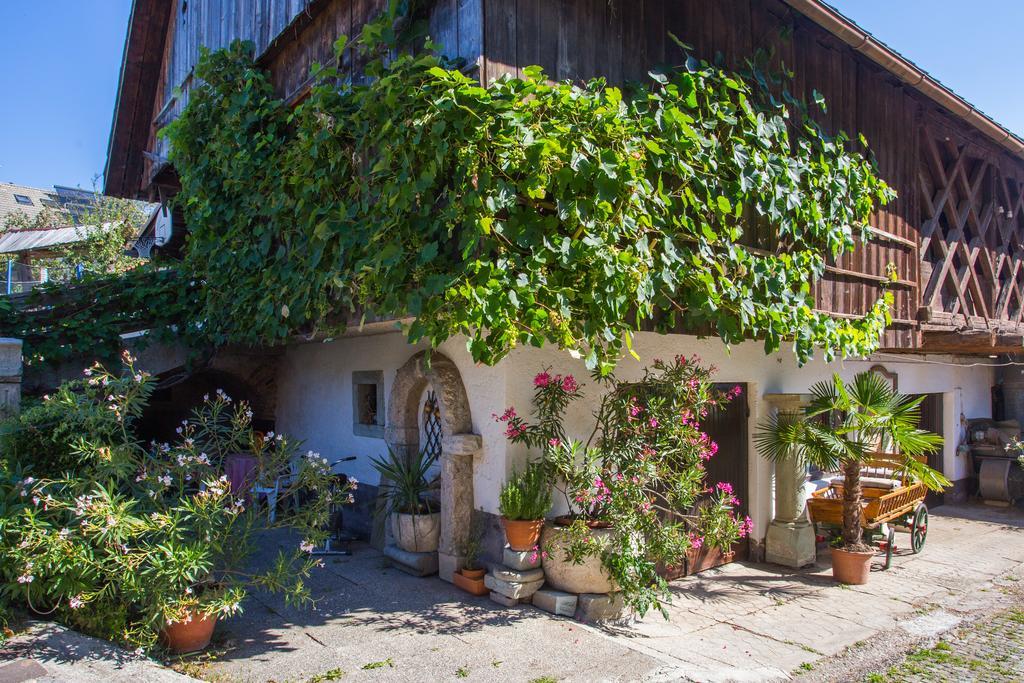 Bio Turisticna Kmetija Frcej-Zupan Villa Bled Esterno foto